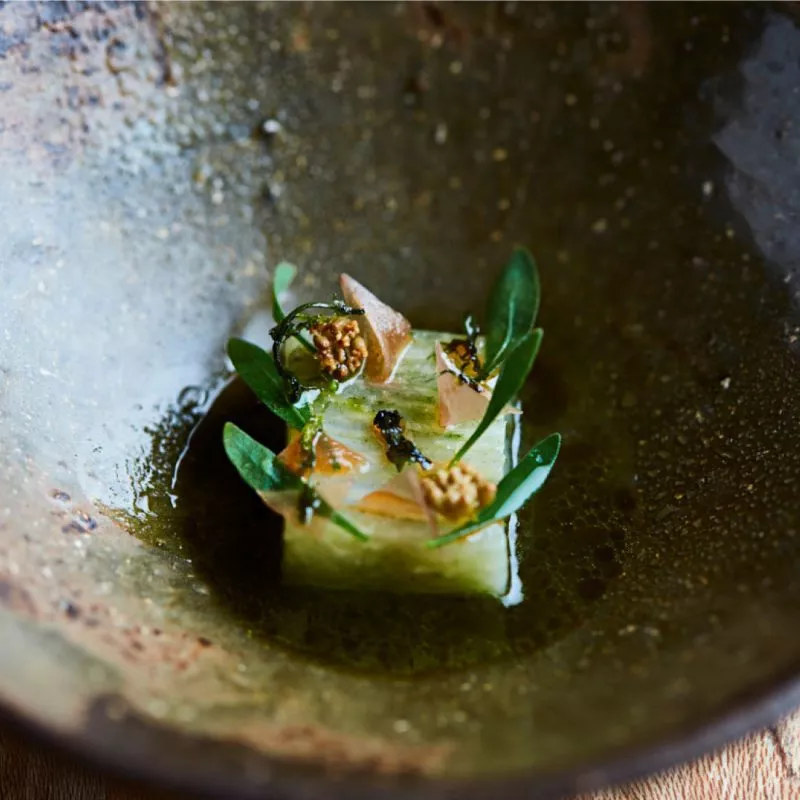 A close up of a delicate vegetarian dish at restaurant St. Barts, compressed cucumber decorated with micro herbs, sat in na green oil.